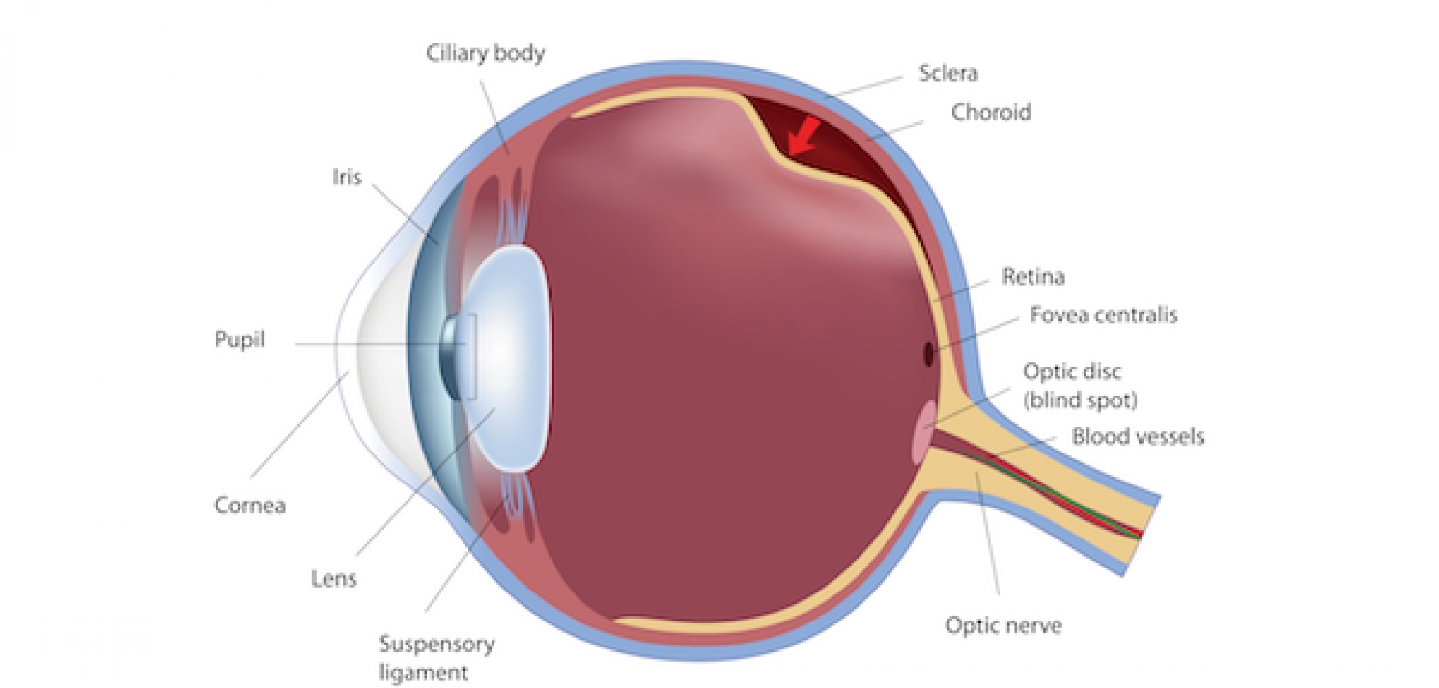 1 | La Pine Eyecare Clinic